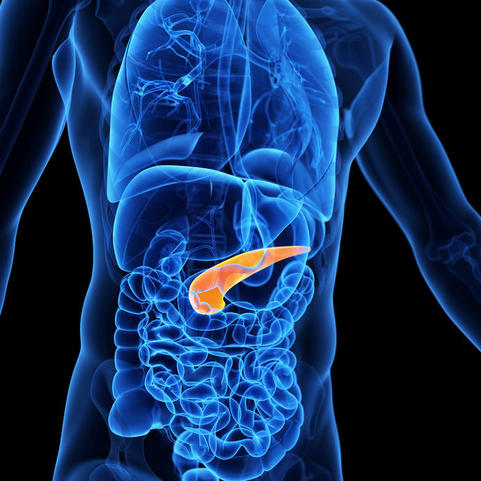 7 sinais de problemas no pâncreas