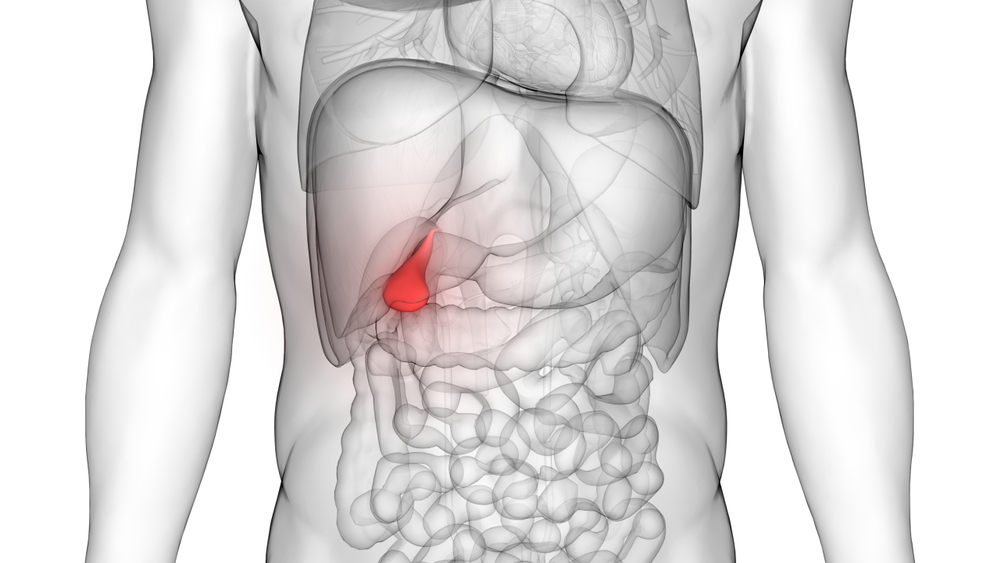 Como é o pós-operatório da cirurgia das vias biliares - Dr. Douglas Bastos  – Cirurgia do Aparelho Digestivo │Hepatobiliar